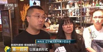 你们在一起吧我重开了,与我们在一起吧共赴浪漫新篇章