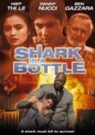 瓶中鲨,揭秘深海奇遇与海洋生物奥秘